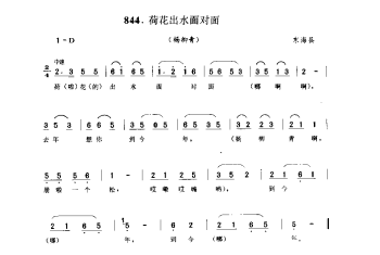 荷花出水面对面(杨柳青) 东海县