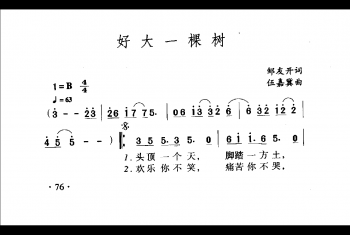 中国名歌500首乐谱：好大一棵树 邹友开词 伍嘉翼曲