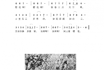 日本经典歌曲谱：樱花 简谱