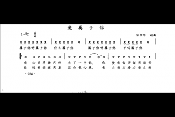 爱属于你（宋书华词曲）