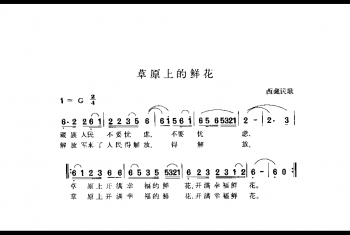 草原上的鲜花 西藏民歌