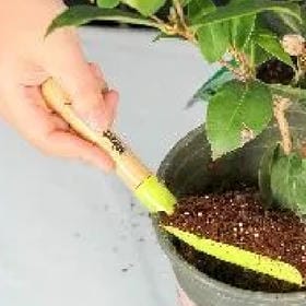 懵懂的少年的头像