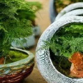 难受难瘦的头像