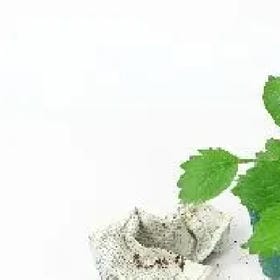 颜雨婷你是风的头像