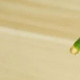 鱼雁音书的头像