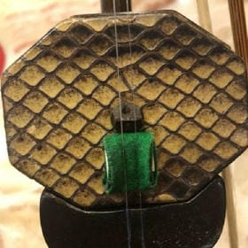 黄怡蓁的头像