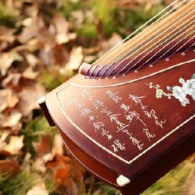 陈柏霖的头像