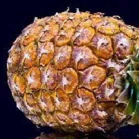 枯守一座城的头像