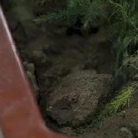 陈颖元的头像