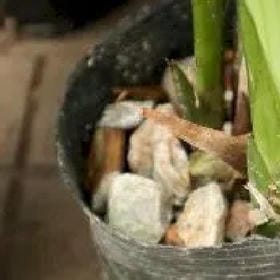 诗酒赠佳人的头像