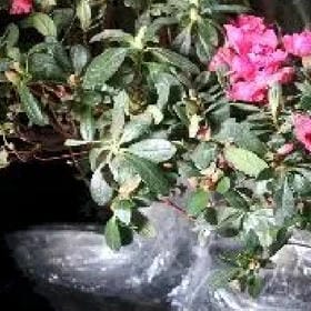 李旭友的头像