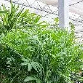 刘克怡的头像