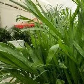 赵宁蓉的头像
