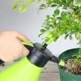 街边捡幸福的头像